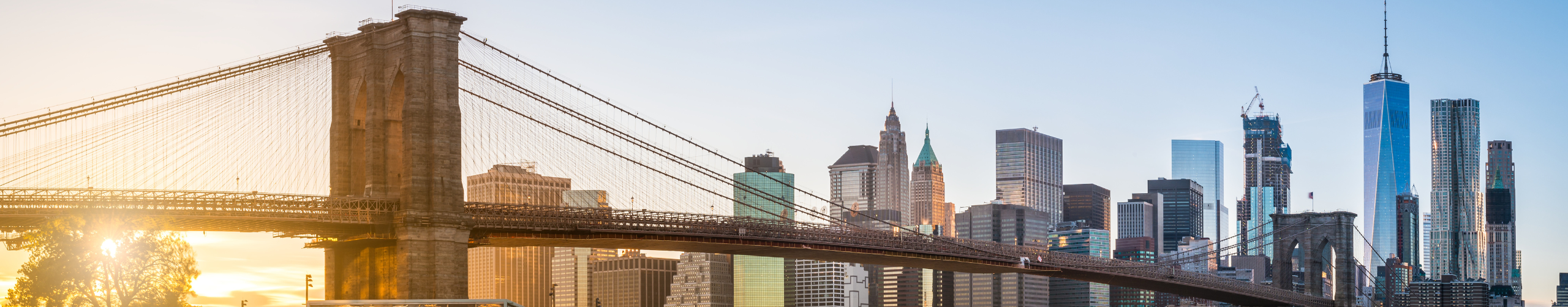 Practice Area Banner